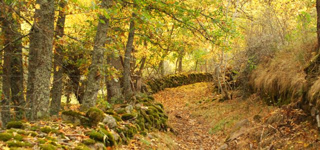 Laciana - Alto Sil